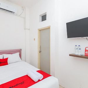 Kamar king standard